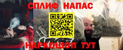 сатива Новодвинск