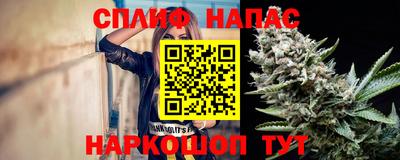 сатива Новодвинск