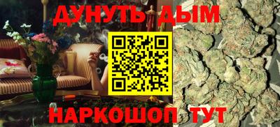 сатива Новодвинск