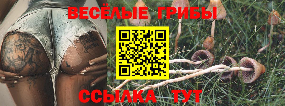 Баксан  Галлюциногенные грибы Magic Shrooms  Вход с VPN 